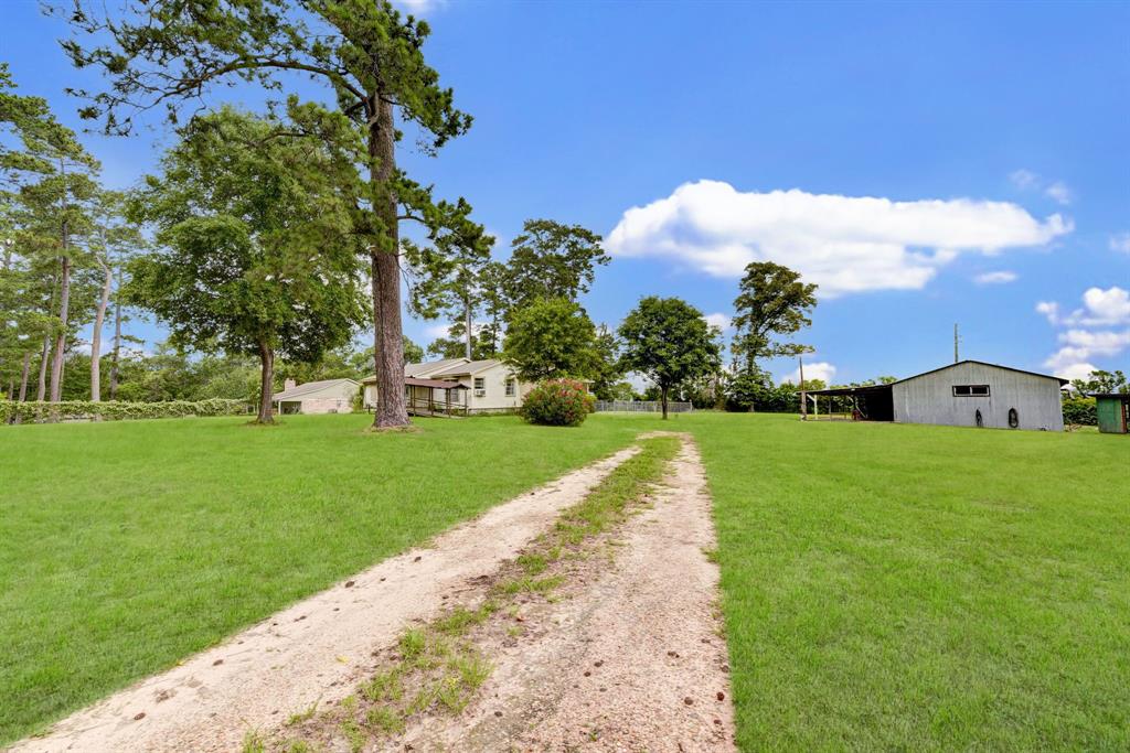 161 Thompson Road, Coldspring, Texas image 31