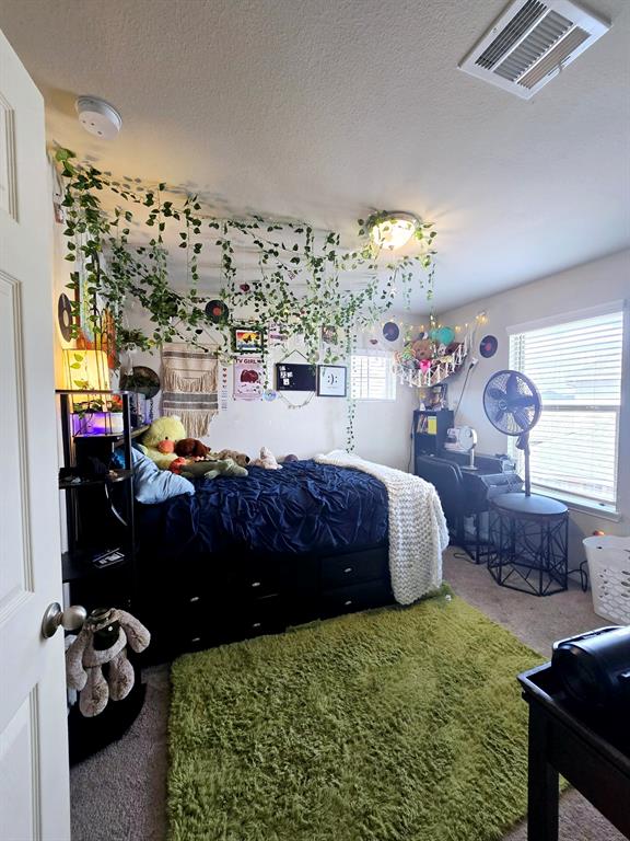 408 Long Beach Bay Drive, Katy, Texas image 22