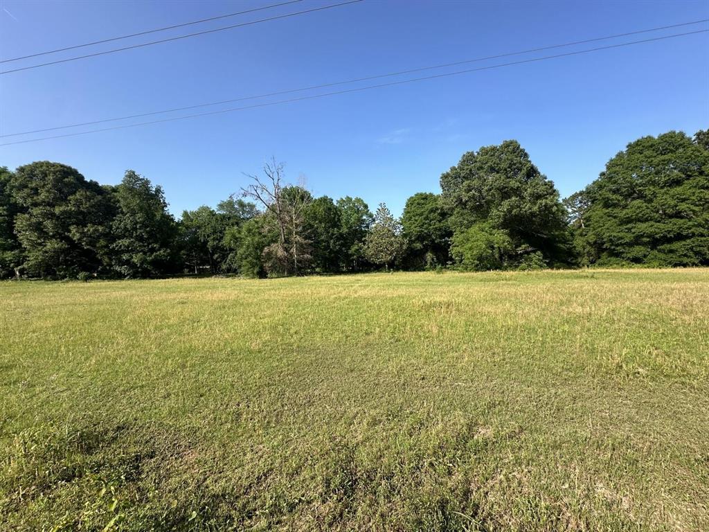 TBD Andrew Jackson Drive, Livingston, Texas image 1