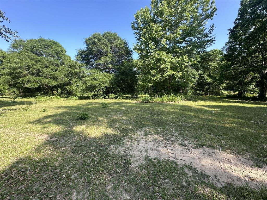 TBD Andrew Jackson Drive, Livingston, Texas image 2
