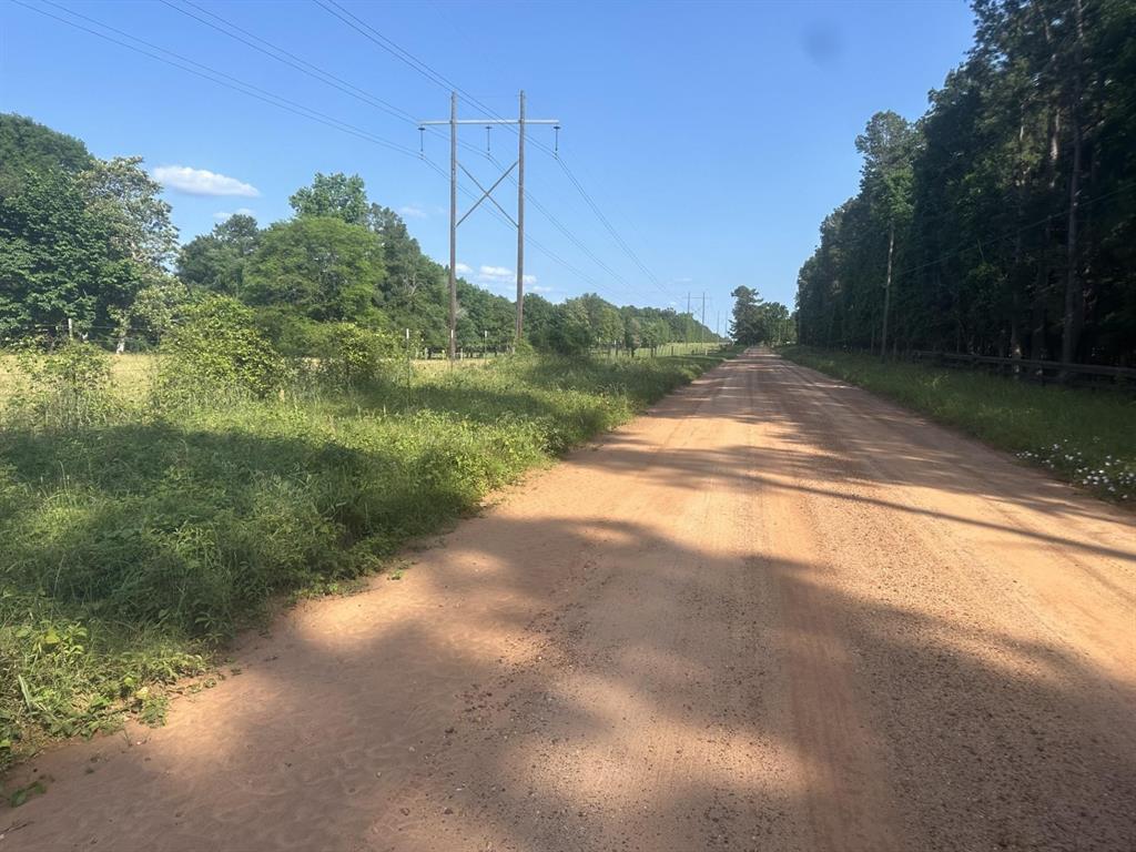 TBD Andrew Jackson Drive, Livingston, Texas image 3
