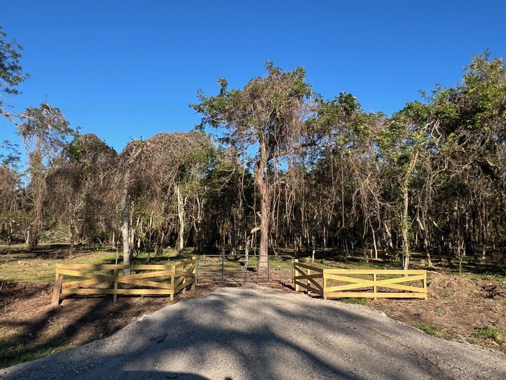 471 County Road 849, Brazoria, Texas image 1