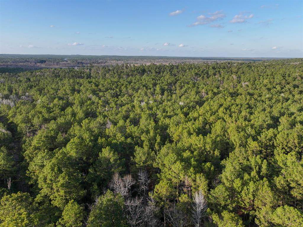 TBD Off Fm 355, Trinity, Texas image 9