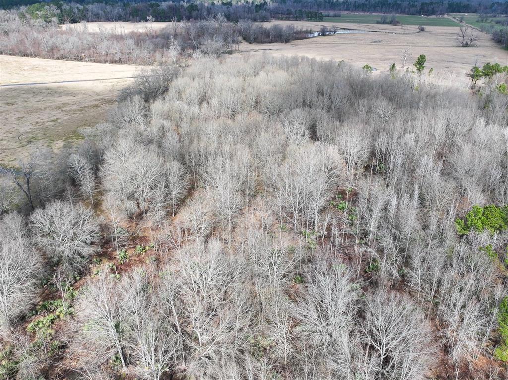 TBD Off Fm 355, Trinity, Texas image 47