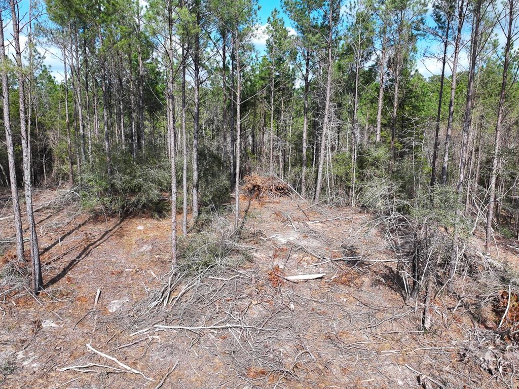 TBD Off Fm 355, Trinity, Texas image 35