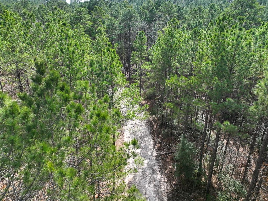 TBD Off Fm 355, Trinity, Texas image 32