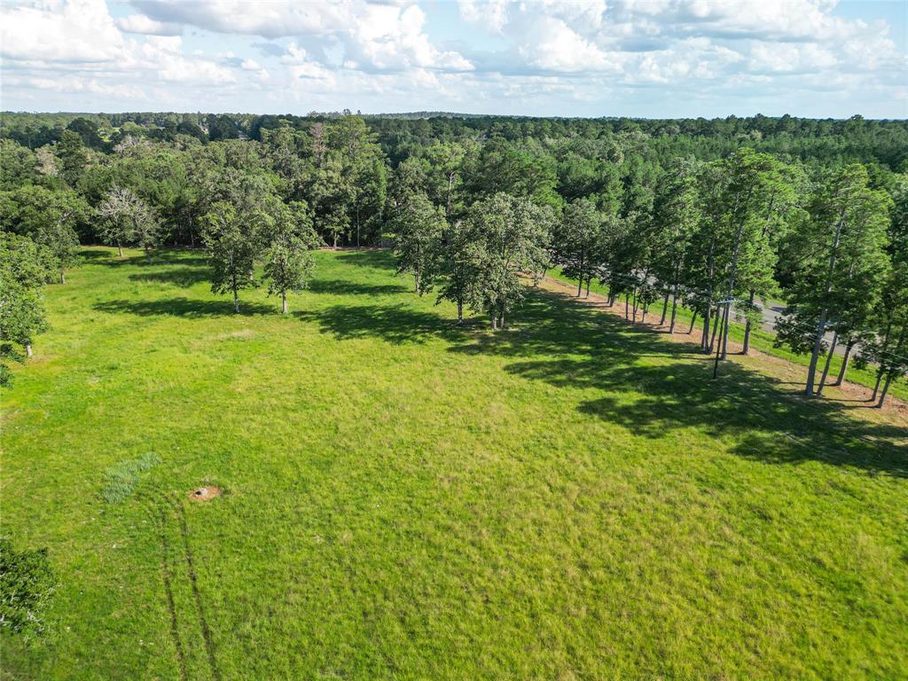 0000 State Highway 19 N 20 Acres, Trinity, Texas image 14