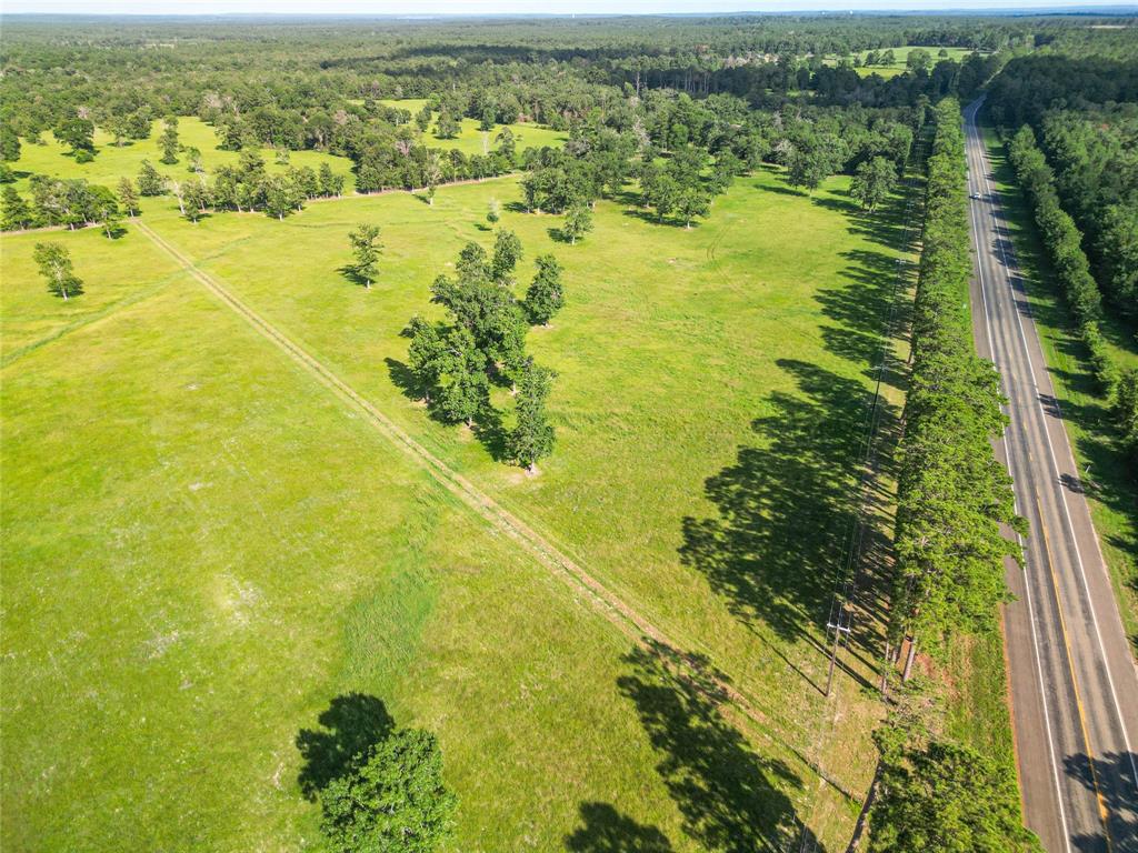 0000 State Highway 19 N 20 Acres, Trinity, Texas image 11