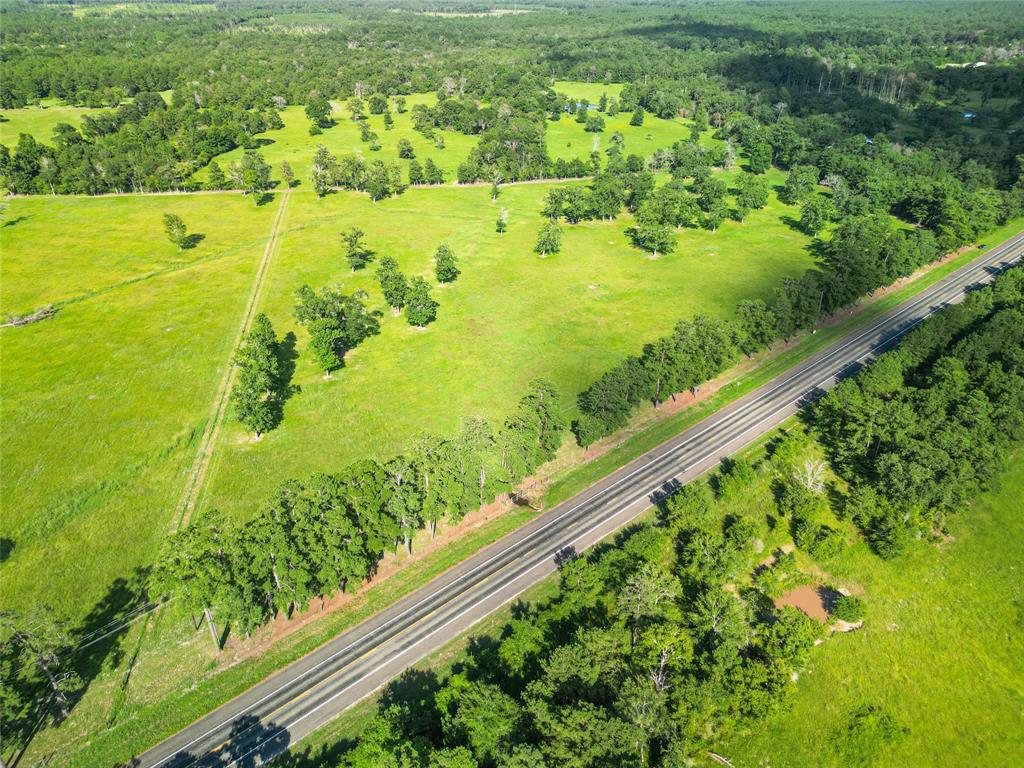 0000 State Highway 19 N 20 Acres, Trinity, Texas image 22