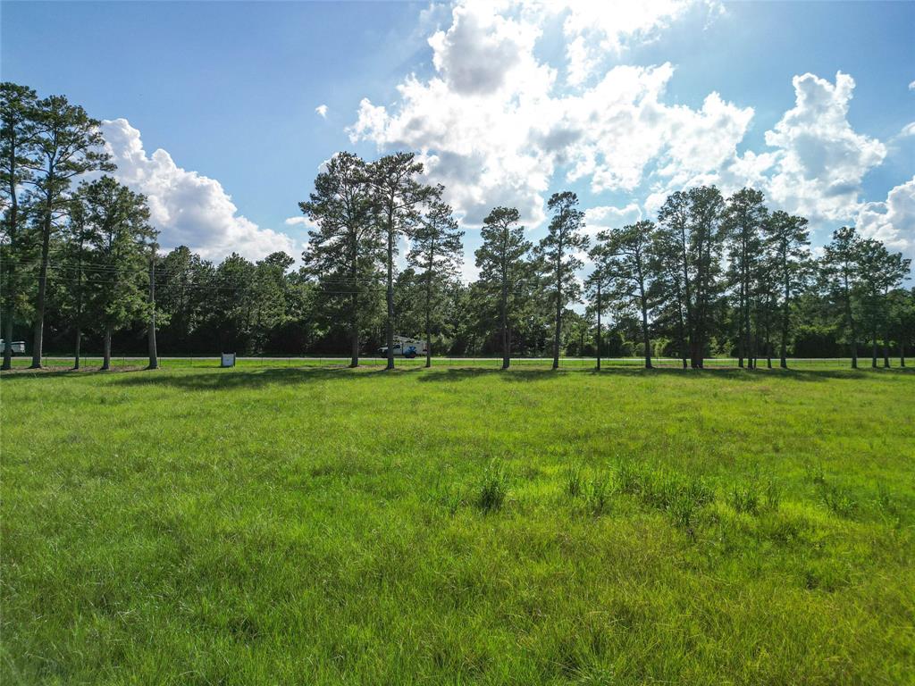 0000 State Highway 19 N 20 Acres, Trinity, Texas image 9