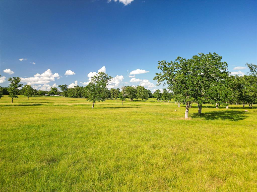 0000 State Highway 19 N 20 Acres, Trinity, Texas image 13