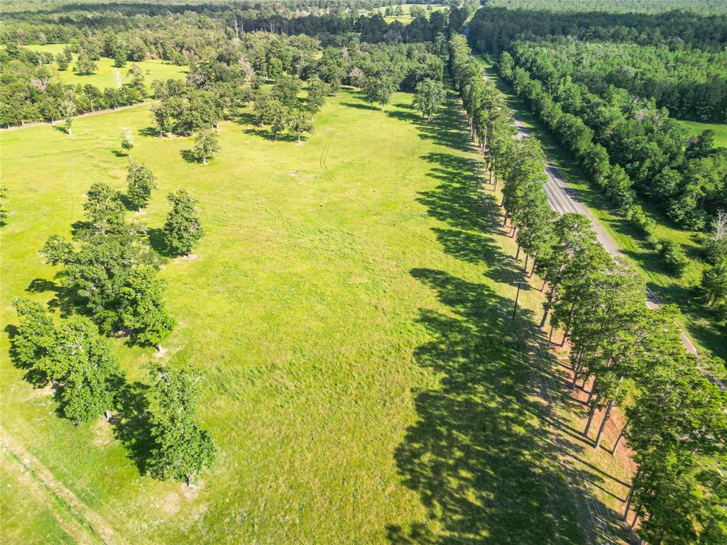 0000 State Highway 19 N 20 Acres, Trinity, Texas image 15