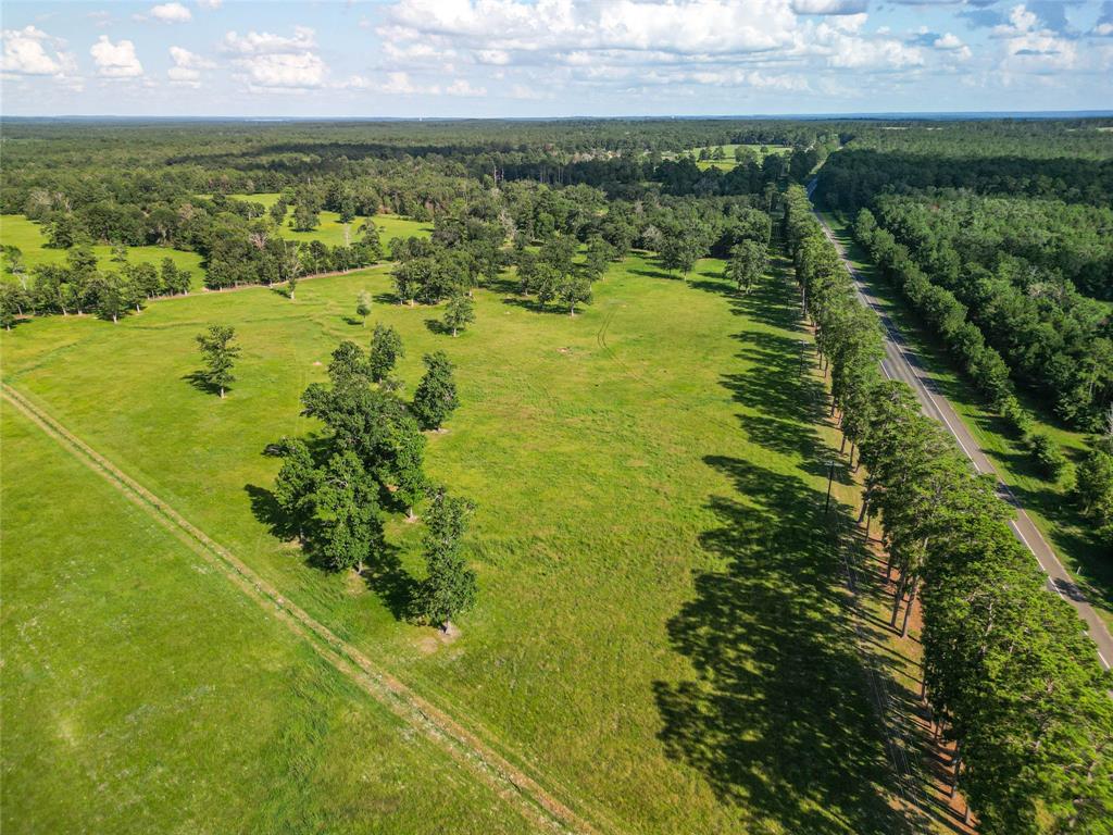 0000 State Highway 19 N 20 Acres, Trinity, Texas image 16