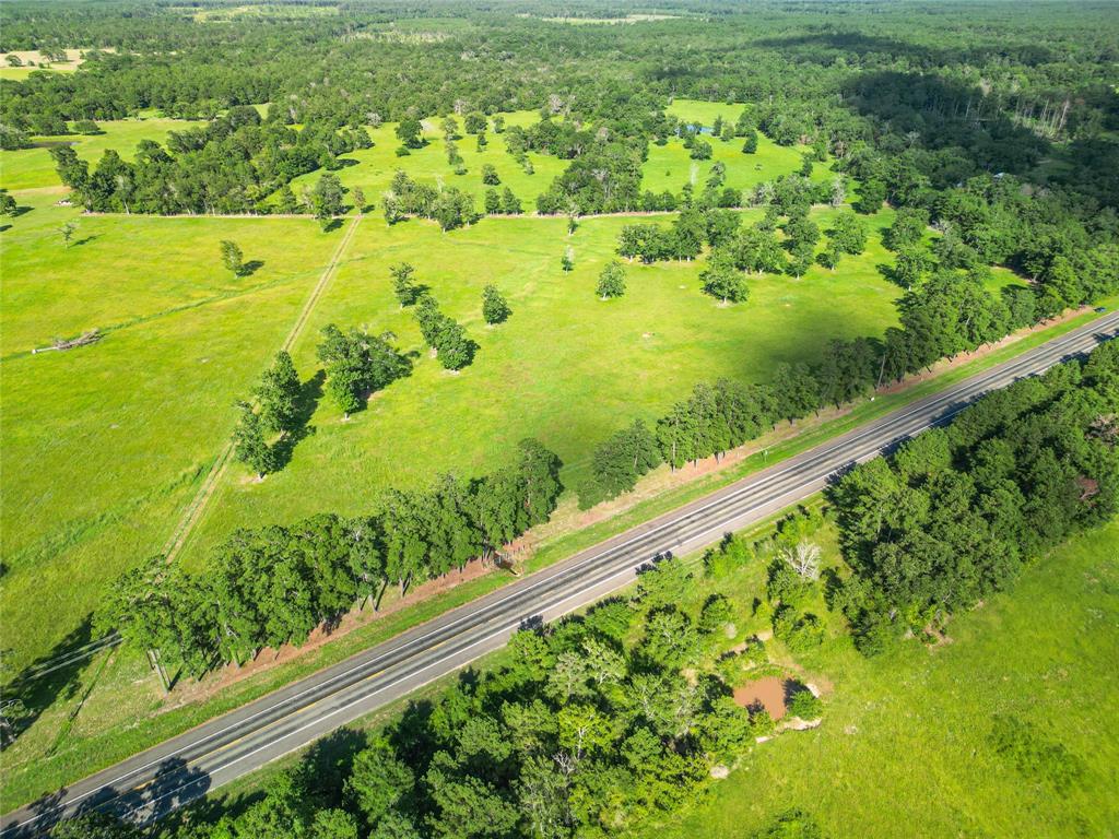 0000 State Highway 19 N 20 Acres, Trinity, Texas image 23