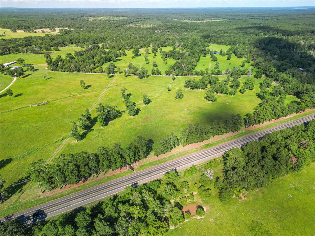 0000 State Highway 19 N 20 Acres, Trinity, Texas image 24