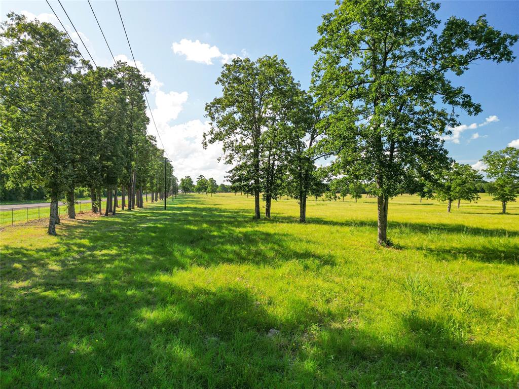 0000 State Highway 19 N 20 Acres, Trinity, Texas image 1