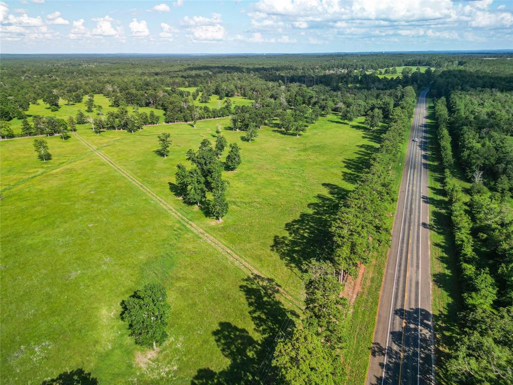 0000 State Highway 19 N 20 Acres, Trinity, Texas image 18