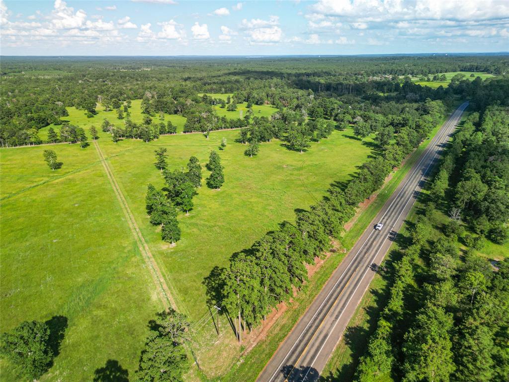 0000 State Highway 19 N 20 Acres, Trinity, Texas image 19