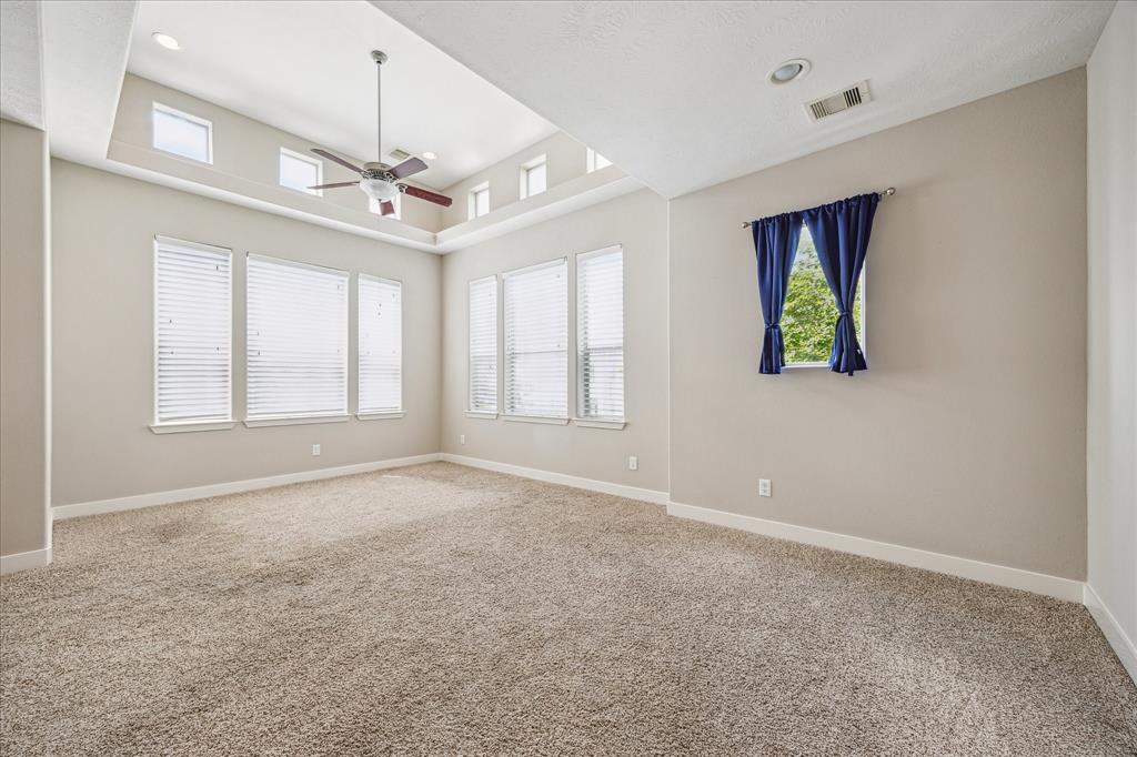 4209 Feagan Street, Houston, Texas image 8