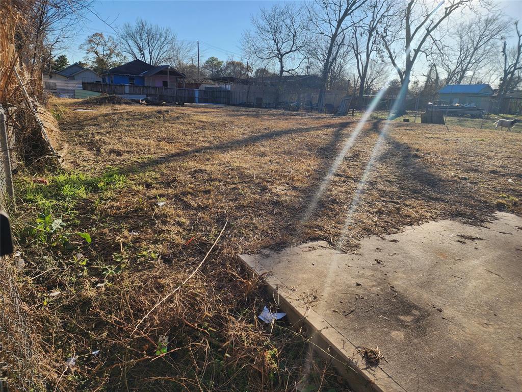 2425 Calvin Avenue, Houston, Texas image 3