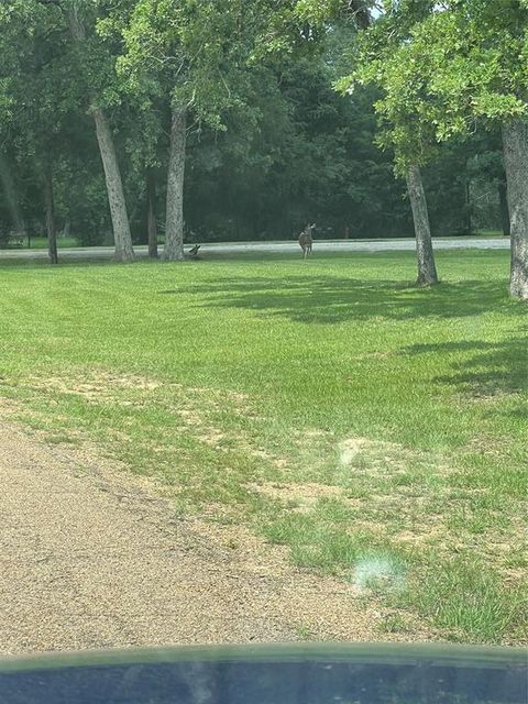Photo of TBD Mistletoe Circle, Somerville, TX 77879 (MLS # 10583803) Photo of TBD Mistletoe Circle, Somerville, TX 77879 (MLS # 10583803)