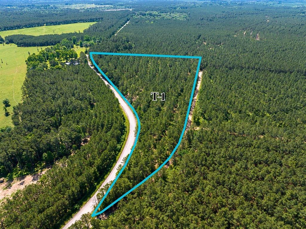 1 Camp Ruby Road, Livingston, Texas image 1