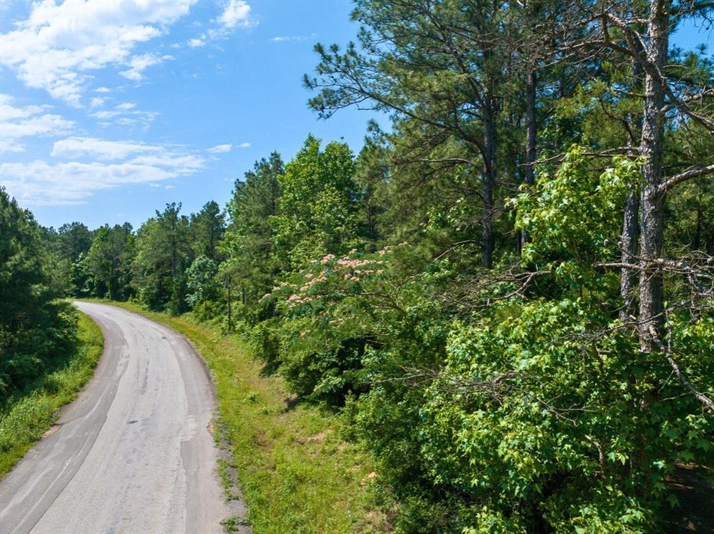 1 Camp Ruby Road, Livingston, Texas image 3
