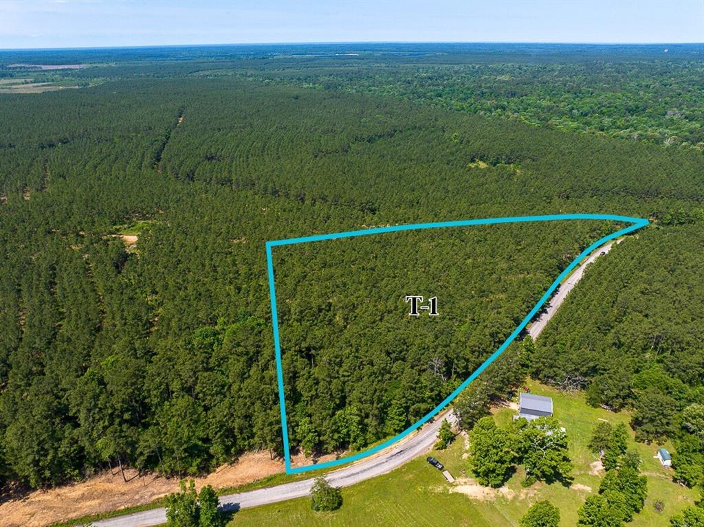 1 Camp Ruby Road, Livingston, Texas image 2