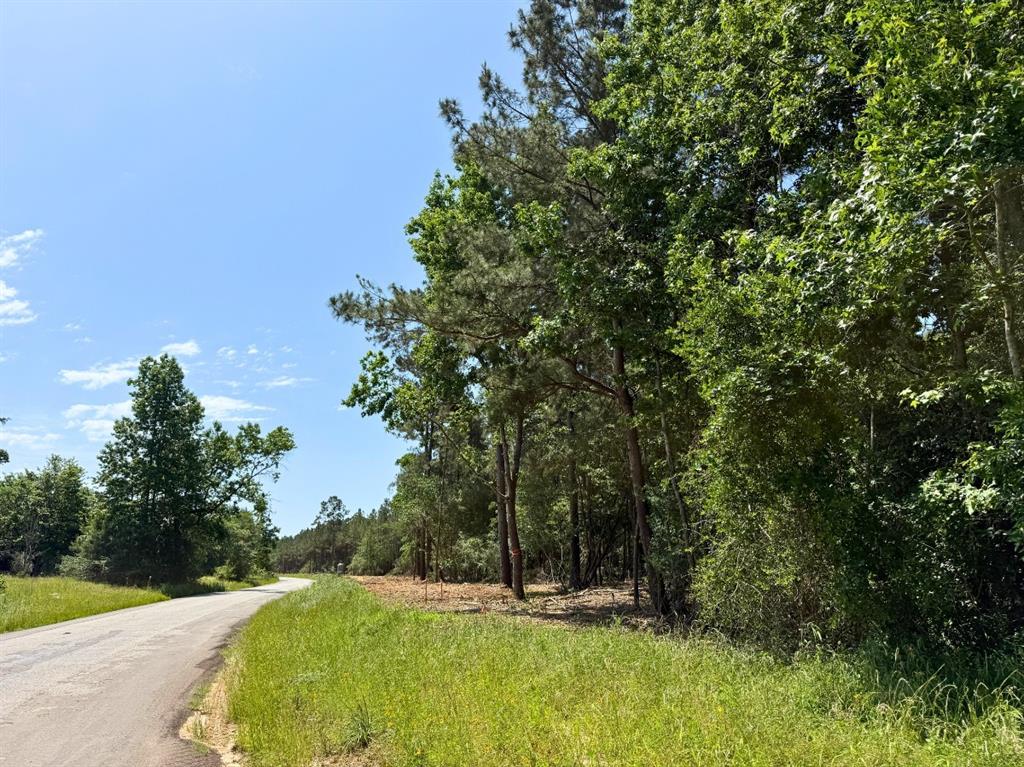 1 Camp Ruby Road, Livingston, Texas image 7
