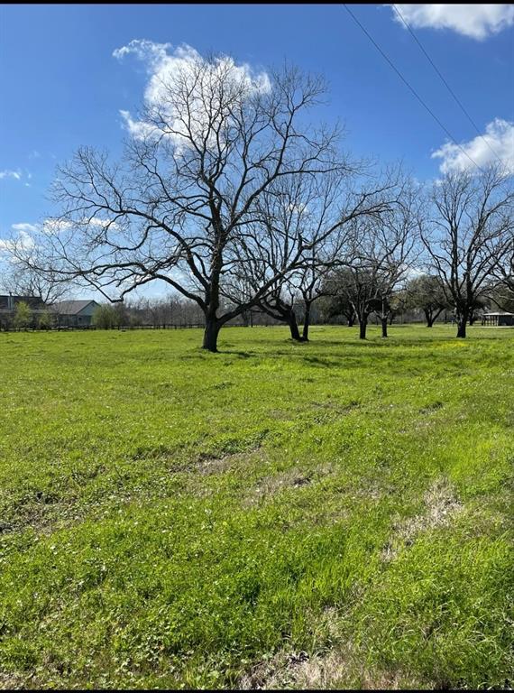 02 Longhorn Road Lane, Simonton, Texas image 11