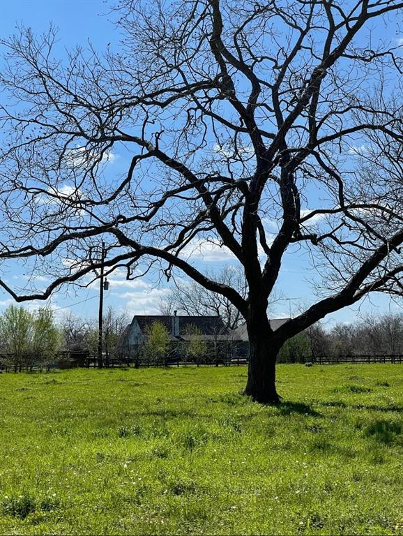 02 Longhorn Road Lane, Simonton, Texas image 10