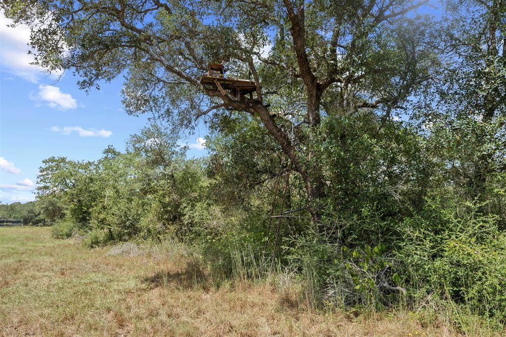 Sandy Creek Road, Garwood, Texas image 18