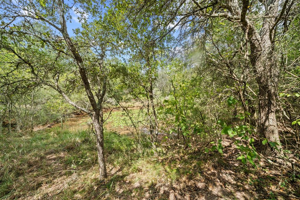 Sandy Creek Road, Garwood, Texas image 15