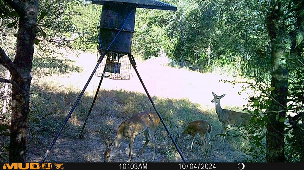 Sandy Creek Road, Garwood, Texas image 3