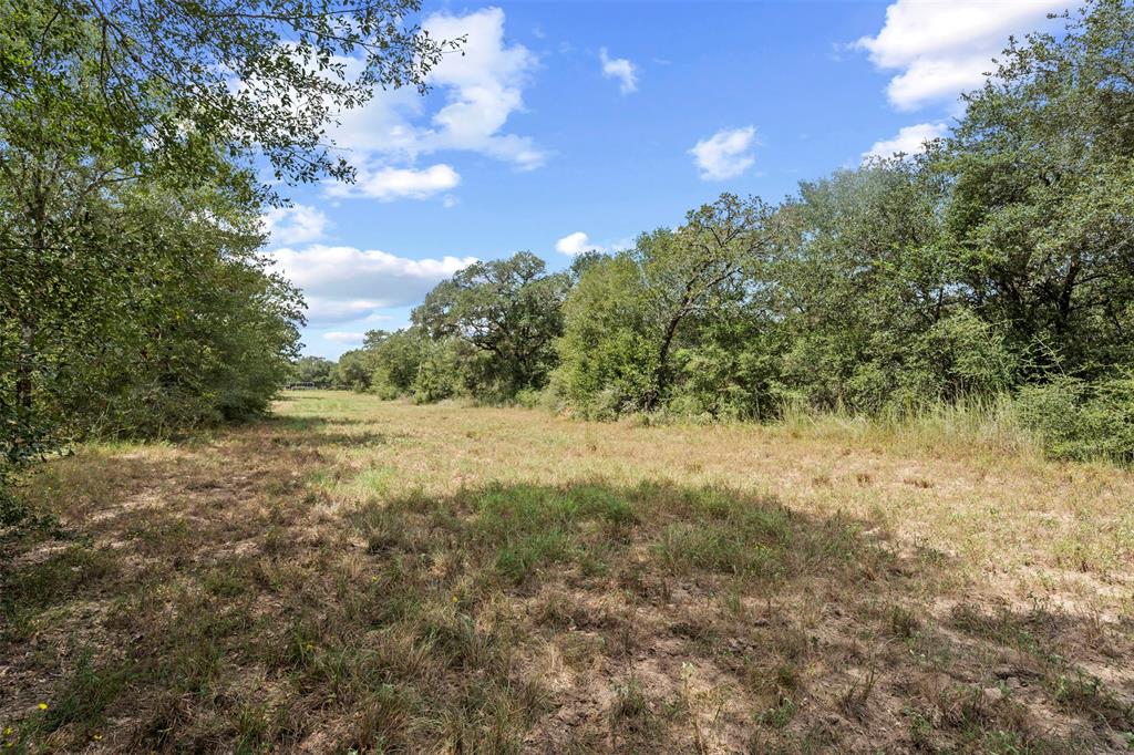 Sandy Creek Road, Garwood, Texas image 11