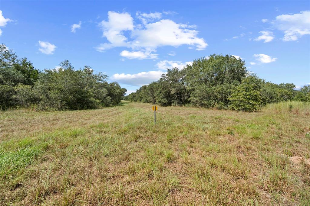 Sandy Creek Road, Garwood, Texas image 10