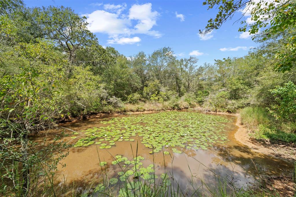 Sandy Creek Road, Garwood, Texas image 8