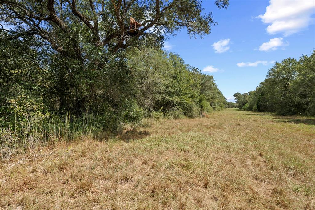 Sandy Creek Road, Garwood, Texas image 20