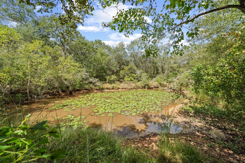 Sandy Creek Road, Garwood, Texas image 14