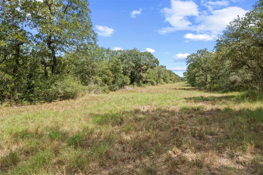 Sandy Creek Road, Garwood, Texas image 21