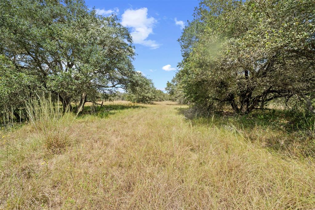 Sandy Creek Road, Garwood, Texas image 12