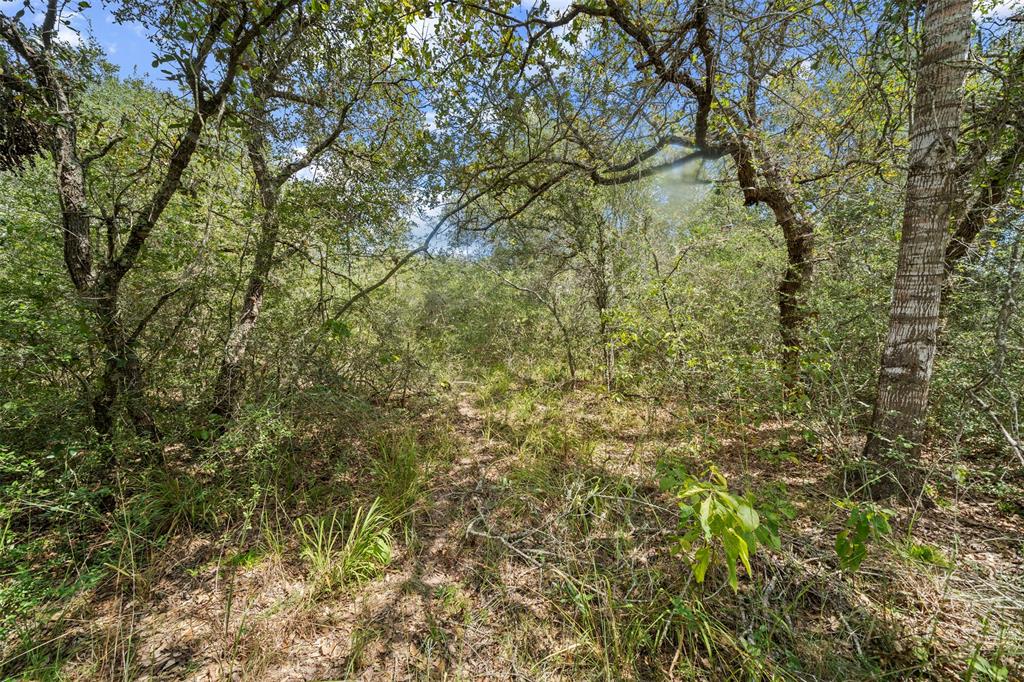 Sandy Creek Road, Garwood, Texas image 16