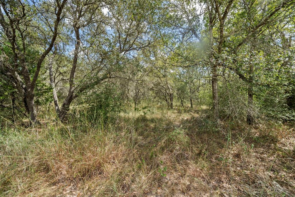 Sandy Creek Road, Garwood, Texas image 19