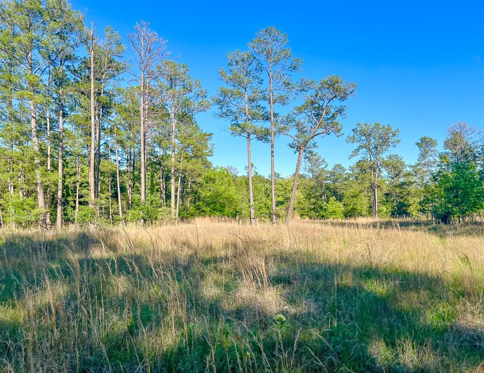 38 Fm 3454, Huntsville, Texas image 11