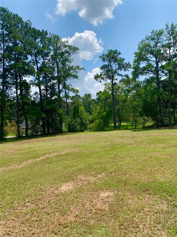 20310 N Hillcrest Drive, Porter, Texas image 39