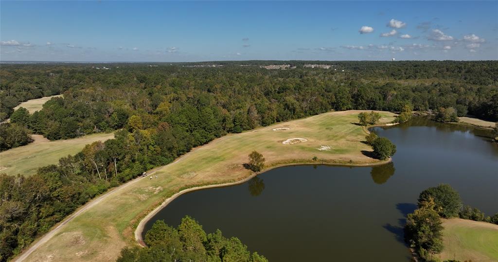 270 Ac Golf Ridge Dr, Conroe, Texas image 14