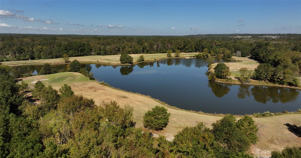 270 Ac Golf Ridge Dr, Conroe, Texas image 15