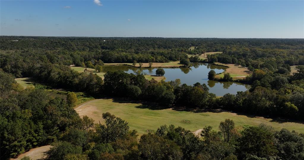 270 Ac Golf Ridge Dr, Conroe, Texas image 12