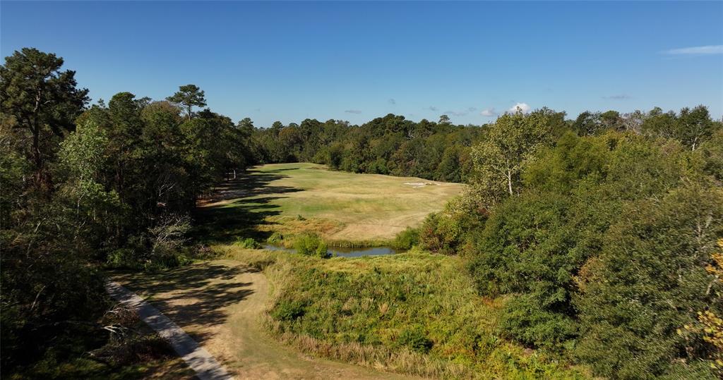 270 Ac Golf Ridge Dr, Conroe, Texas image 21