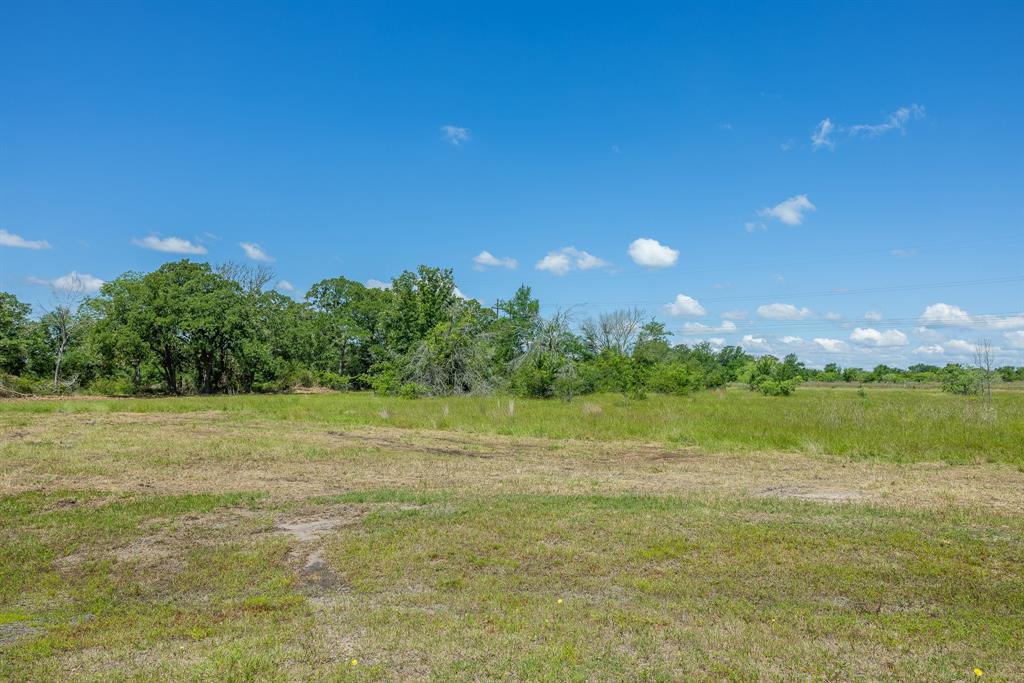 6501 Atakapan Trail Trl, Bedias, Texas image 3